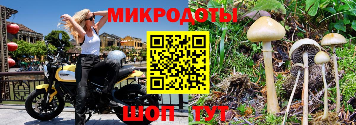 Галлюциногенные грибы Psilocybine cubensis Лосино-Петровский