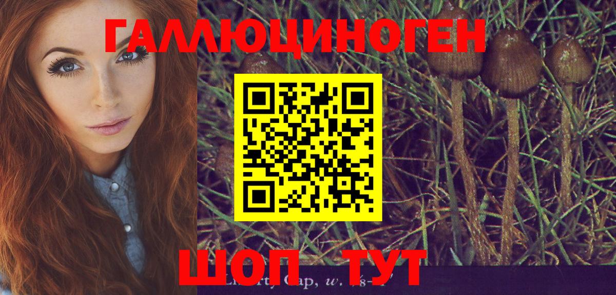 Псилоцибиновые грибы GOLDEN TEACHER  сколько стоит  Лосино-Петровский  Вход с VPN 